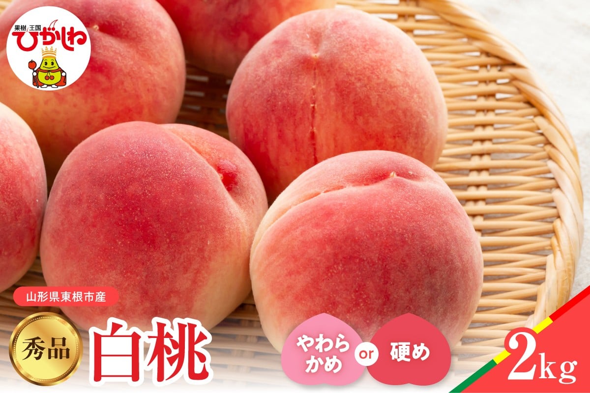 
            ≪選べる硬さ≫2026年産 白桃 品種おまかせ 秀品2kg(硬めorやわらかめ) 松栗提供 山形県 東根市 hi062-056-o
          