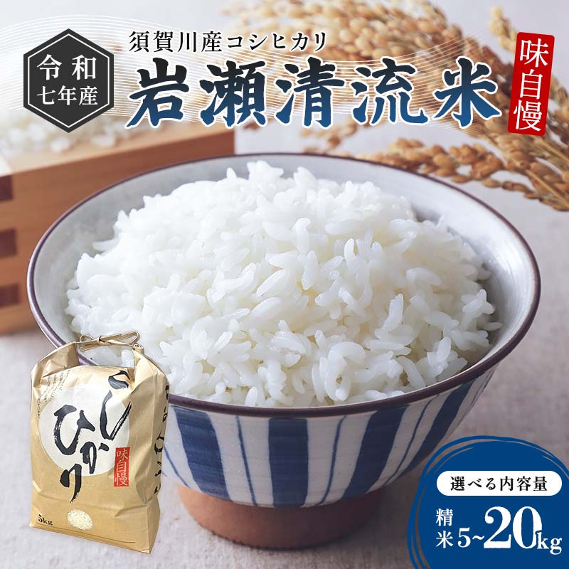 【ふるさと納税】《選べる容量》令和7年産 須賀川産コシヒカリ「岩瀬清流米」精米 5kg 10kg 20kg ブランド米 お米 白米 人気 F7X-0657var