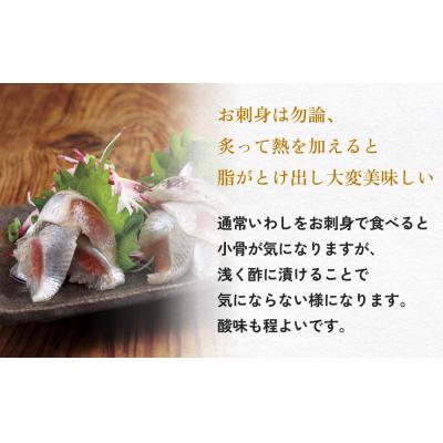 ふるさと納税 石巻市 とろ金華いわし酢〆フィーレ 500g 金華いわし 鰯 いわし イワシ フィレ 切身 酢締め お酢 魚 |  | 02