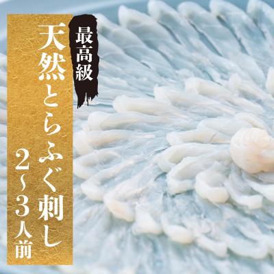 ふるさと納税 下関市 【期間限定】 とらふぐ 刺身 天然 冷蔵 2~3人前 CD402