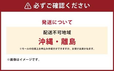 【奈義町産牛】希少部位 カッパの干し肉 計500g（125g×4パック）食べきりサイズ 数量限定 干し肉 ビーフジャーキー 牛肉 牛 肉 お肉