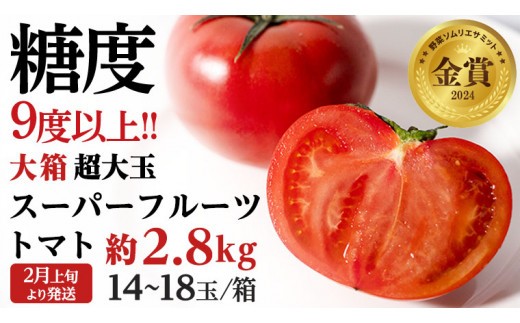 
                  《 2027年 収穫分 》2～6月配送 超大玉 スーパーフルーツトマト 大箱 約2.8kg × 1箱 (14～18玉/1箱) 糖度9度以上 先行予約 茨城県 桜川市 KEK 国産 トマト フルーツトマト ブランドトマト 野菜 ギフト 贈答 青空レストラン アド街ック天国 グッドモーニング 黄金のワンスプーン 昼めし旅 [BC011sa]
                