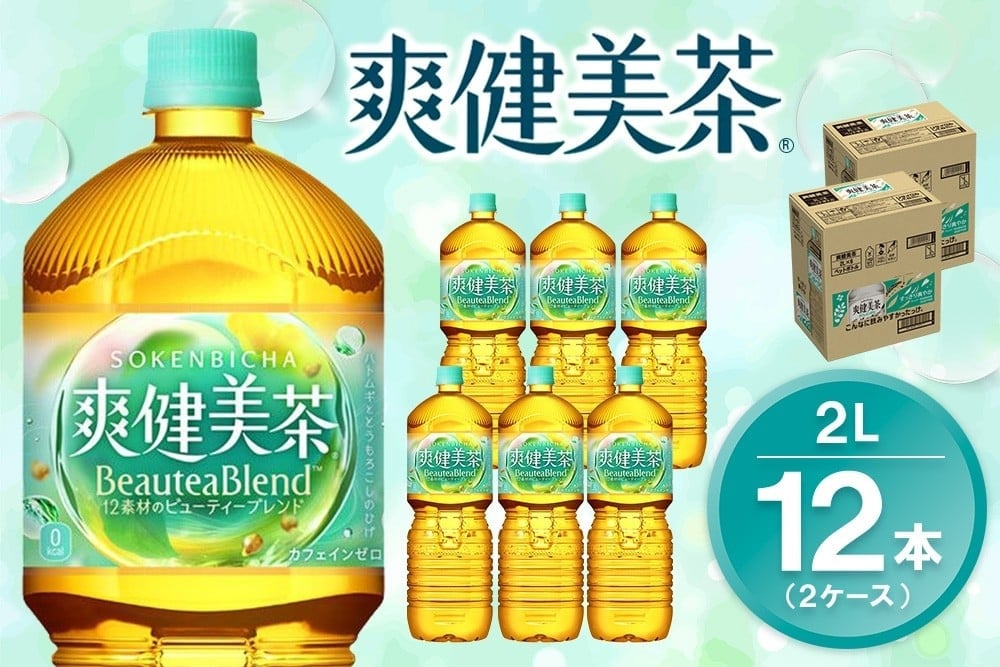 
            爽健美茶 2LPET (2ケース) 計12本【コカコーラ カフェインゼロ 香ばしい おいしい ブレンド茶 お茶 ハトムギ 玄米 大麦 ドクダミ ハブ茶 チコリー 麦芽 植物素材 飲料 ペットボトル 備蓄 防災 熱中症】K090212
          