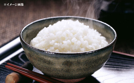 栗東産特別栽培米　コシヒカリ　10キロ　特別栽培米 こしひかり 特栽米 米 お米 こめ コメ 白米 精米 近江米 栗東産米 ご飯 ごはん ゴハン 10kg 滋賀県 栗東市