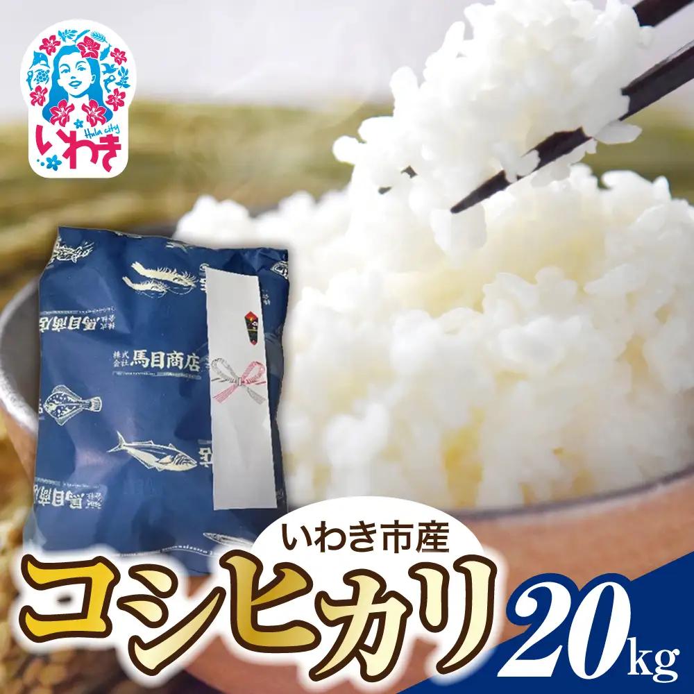 【令和8年産】いわき市産 コシヒカリ 20kg | コシヒカリ 新米