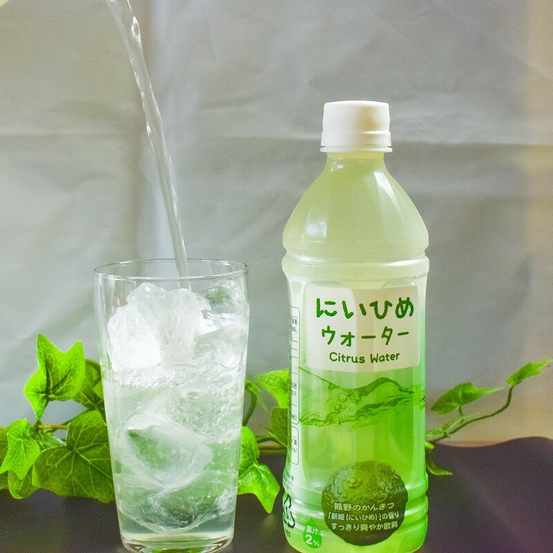 【ふるさと納税】乾いたカラダを潤す♪ にいひめウォーター 510ml × 24本 入