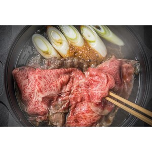 訳あり！【A4～A5】博多和牛切り落とし400ｇ【014-0040】