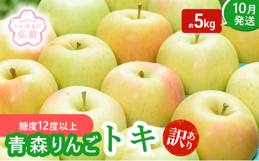 りんご 【 10月発送 】( 糖度12度以上 ) 訳あり トキ 約 5kg 【 弘前市産 青森りんご 】