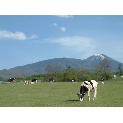 ふるさと納税 長和町 牧場のミルキーセット　E-2 |  | 01