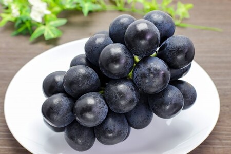 2025年 発送 先行予約 ナガノパープル 約2kg | ナガノパープル ぶどう 葡萄 皮ごと 種なし 高糖度 フルーツ 果物 特産品 オリジナル 品種 産地直送 千曲市 長野県 信州 先行予約