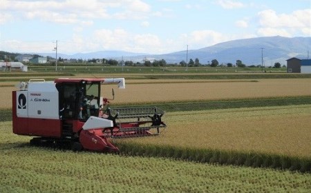 【新米予約受付中】令和8年産ななつぼし定期便80㎏(毎月10㎏×8か月)【R7UB-02】