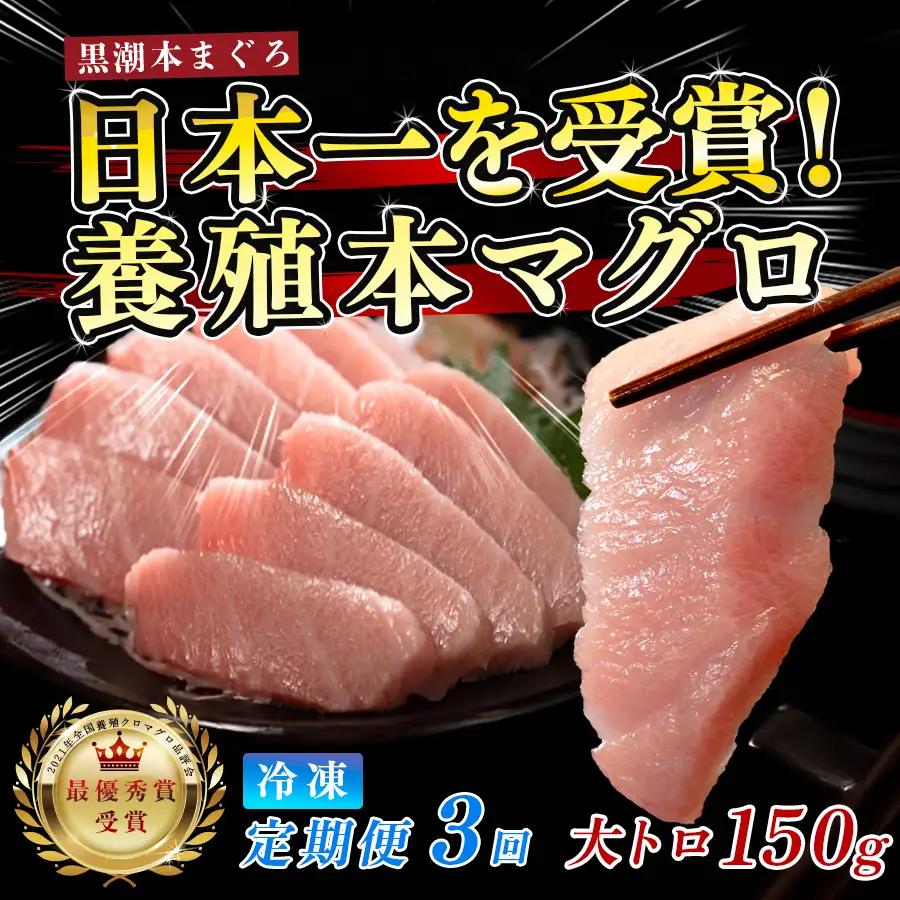 訳あり 不定貫 まぐろ マグロ 本鮪 黒潮本まぐろ 大トロ 定期便 3回 120g × 3回 刺身 冷凍 産地直送 (PT0080_0613)