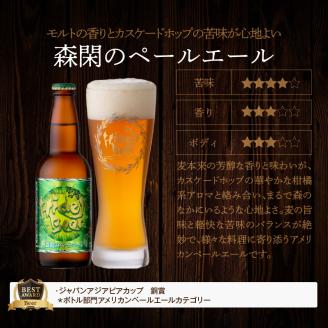 6ヶ月定期便　宮崎ひでじビール　お楽しみ6本セット N073-ZE057