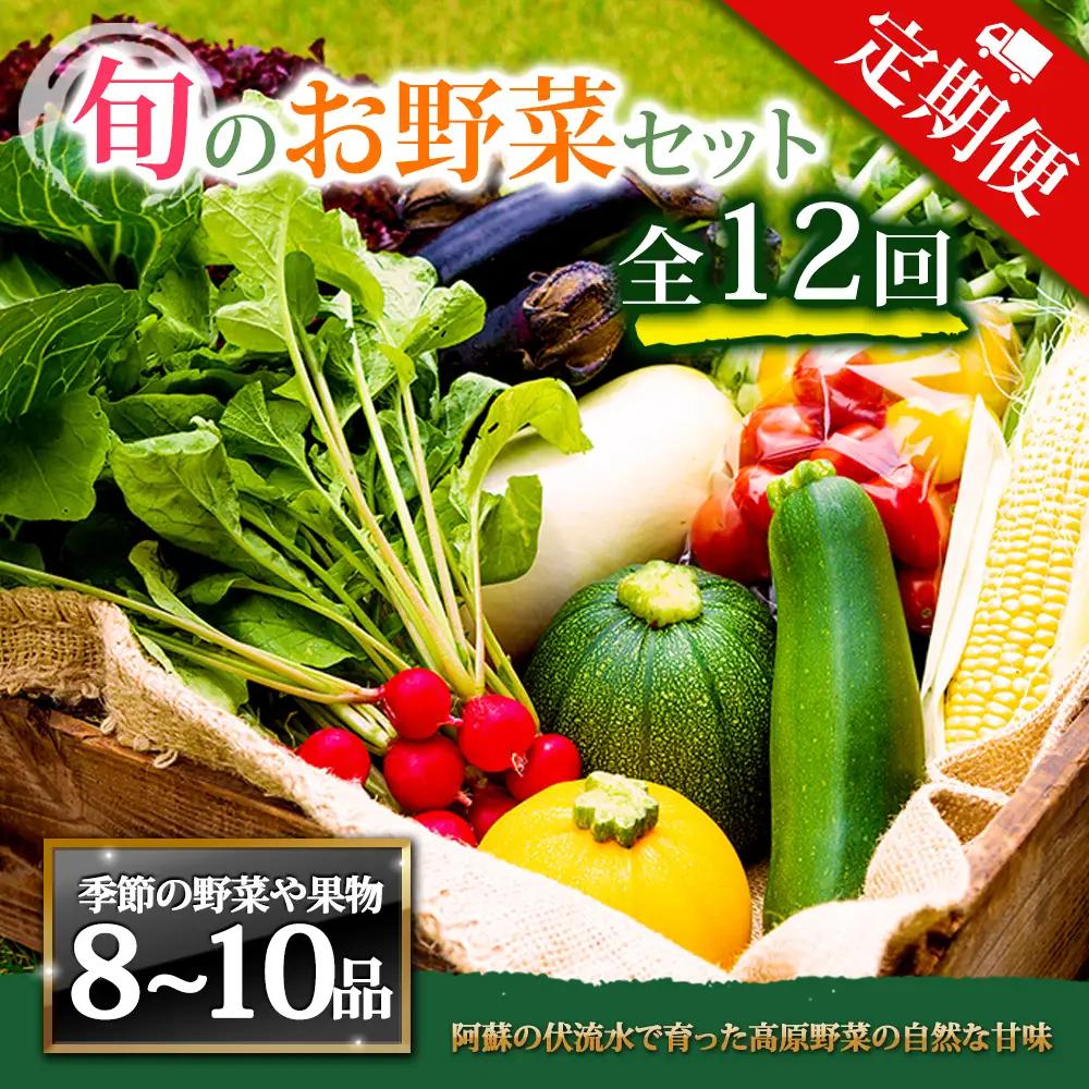 【定期便 全12回】畑から直送  季節のお野菜セット Lサイズ 