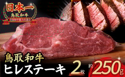鳥取和牛 ヒレステーキ 2枚 （ 250g ） 牛肉 ヒレ ヒレステーキ 和牛 国産牛 ステーキ 黒毛和牛 肉 国産 ブランド牛 赤身 希少部位 最高級部位 鳥取県 倉吉市 KR364
