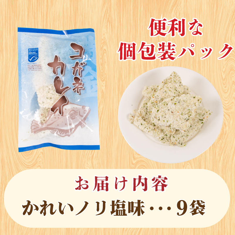 骨取りかれい フライ のり塩ガーリック味 160g×9パック 冷凍 山口 下関