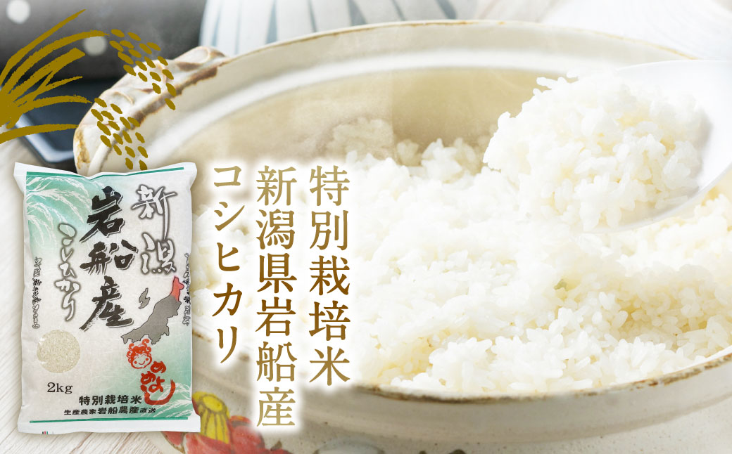 【新米受付・令和6年産米】NB4075 特別栽培米 新潟県岩船産 コシヒカリ 12kg（6kg×2ヶ月コース）