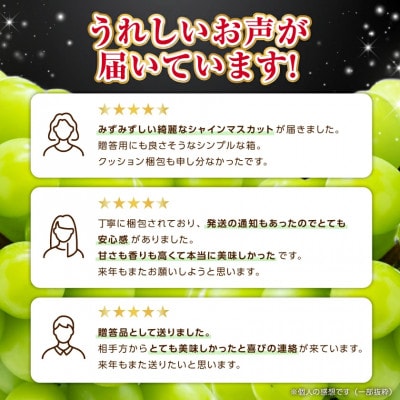 フルーツ王国山梨産厳選 シャインマスカット 6～8房(約3kg) 約1.5kg×2箱【配送不可地域：離島】