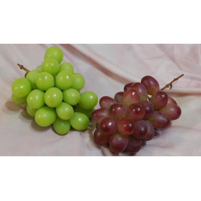 ぶどう おまかせ 3品種 食べ比べ シャインマスカット ピオーネ 巨峰 我が道 ＜2026年8月より順次発送予定＞ (県内共通返礼品:かすみがうら市産) 先行予約 ぶどう ブドウ 葡萄 フルーツ 茨城