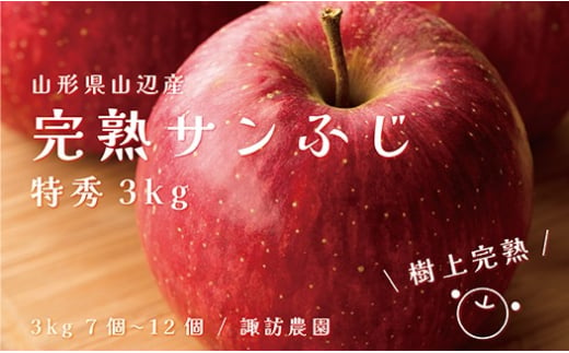 《先行予約》2024年 山形県産 完熟 サンふじ りんご 特秀品 3kg 7～12個 2024年12月上旬から順次発送 リンゴ フルーツ F20A-902