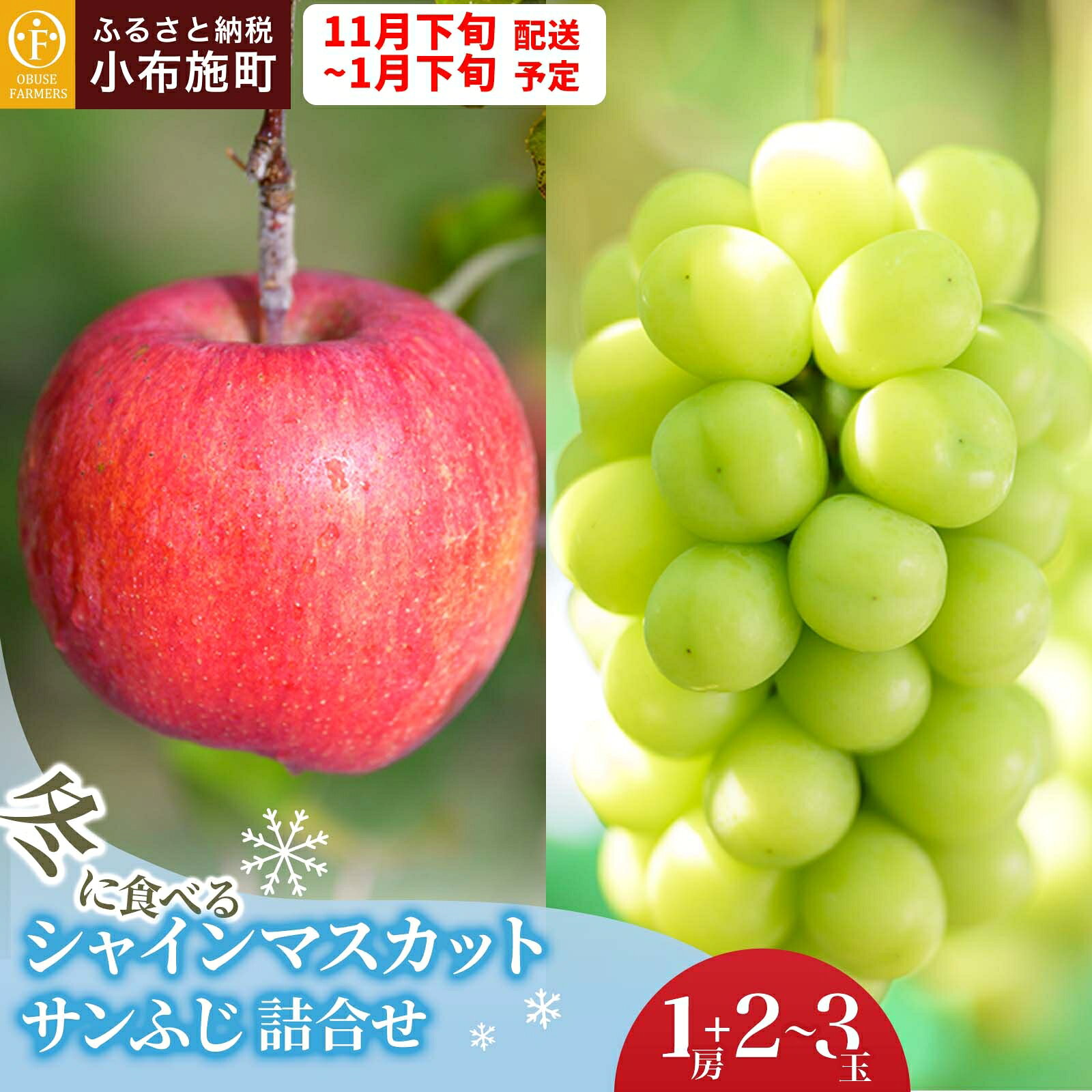 【ふるさと納税】冬に食べるシャインマスカットとサンふじ詰合せ 1房（約500g） 2〜3玉［おぶせファーマーズ］ ぶどう りんご 林檎 リンゴ 果物 フルーツ 長野 信州 数量限定 令和8年産【2026年11月上旬～2027年2月上旬発送】