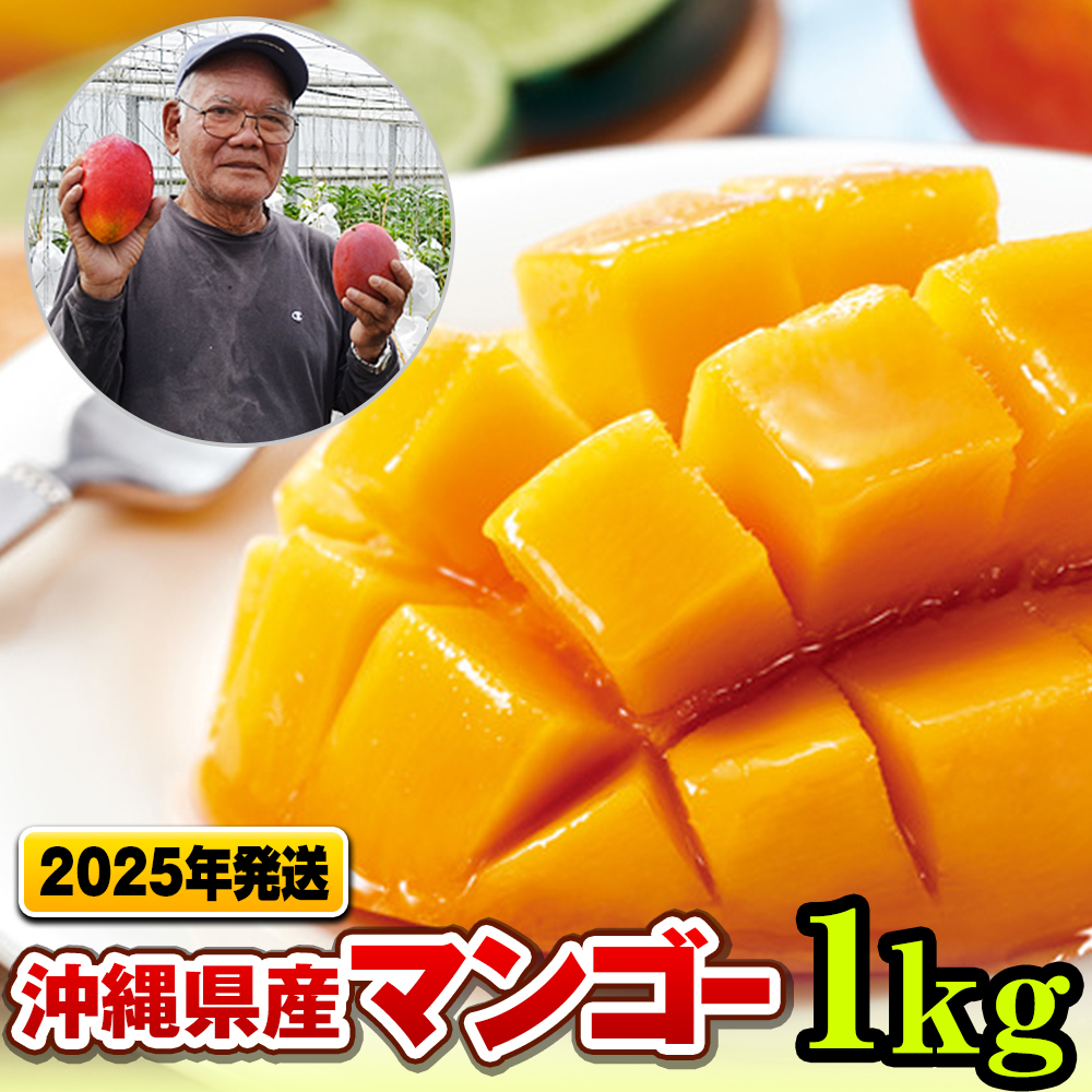 【2025年発送】濃厚な甘さ！とろける食感！沖縄県産マンゴー1kg