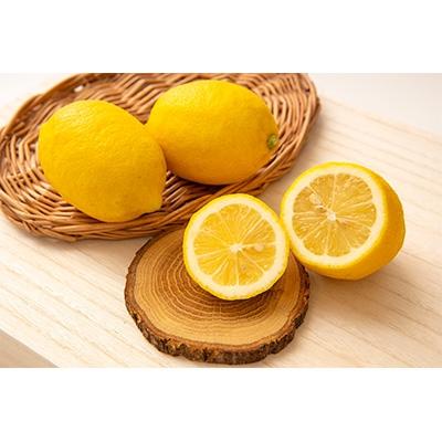 ふるさと納税 広川町 和歌山県有田産　レモン　約3kg