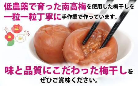 梅干し 1.3kg 先行予約 夢萬開 梅干し しそ漬け F010-105001