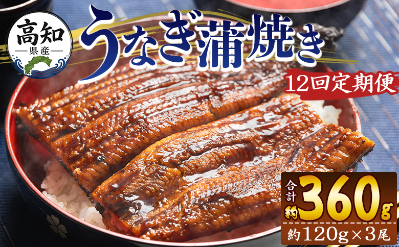【１２回定期便】高知県産養殖うなぎ蒲焼き 100～120g 3尾 うなぎ 魚介 国産 海鮮 魚 かばやき 鰻 ウナギ 惣菜 おかず お手軽 加工品 加工食品 冷凍 Wfb-0044