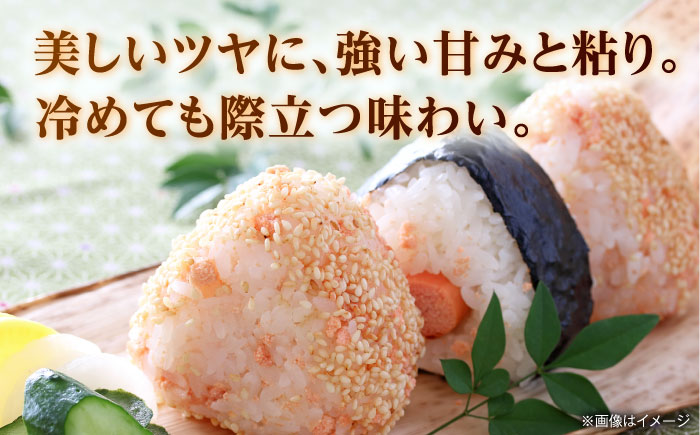 【先行予約】【6回定期便】くまさんの輝き 白米  5kg 山鹿市産 【奥村果実園】 [ZFK020]