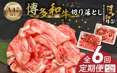 博多和牛切り落とし 500g×2パック　6回定期便_博多和牛 切り落とし 6回 定期便 自慢 黒毛和牛 国産 九州産 福岡県産 国産牛 ブランド牛 牛肉 和牛 肉 お肉 赤身 溢れる 旨味 サシ 甘味 至福の時 煮物 すき焼き 炒め物 カレー 小分け 便利 冷凍 お取り寄せ グルメ 福岡県 久留米市 送料無料_Tk063