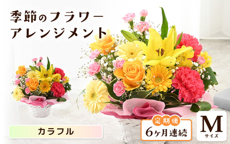 定期便 ≪6ヶ月連続お届け≫ 季節のフラワーアレンジメント M (カラフル) 花束 生花 プレゼント [G-20703_03]