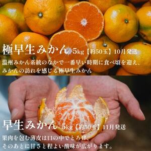 【発送月固定定期便】「時期、種類による味の違いを楽しむ」愛媛みかん食べ比べ【H70-80】全3回【4067801】