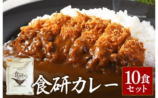食研カレー２００ｇ×１０袋 今治 いまばり 愛媛 えひめ ご当地 10袋 レトルト セット レトルトカレー 常温 家庭用 加工品 国産 日本食研 非常食【VB02360SET10】