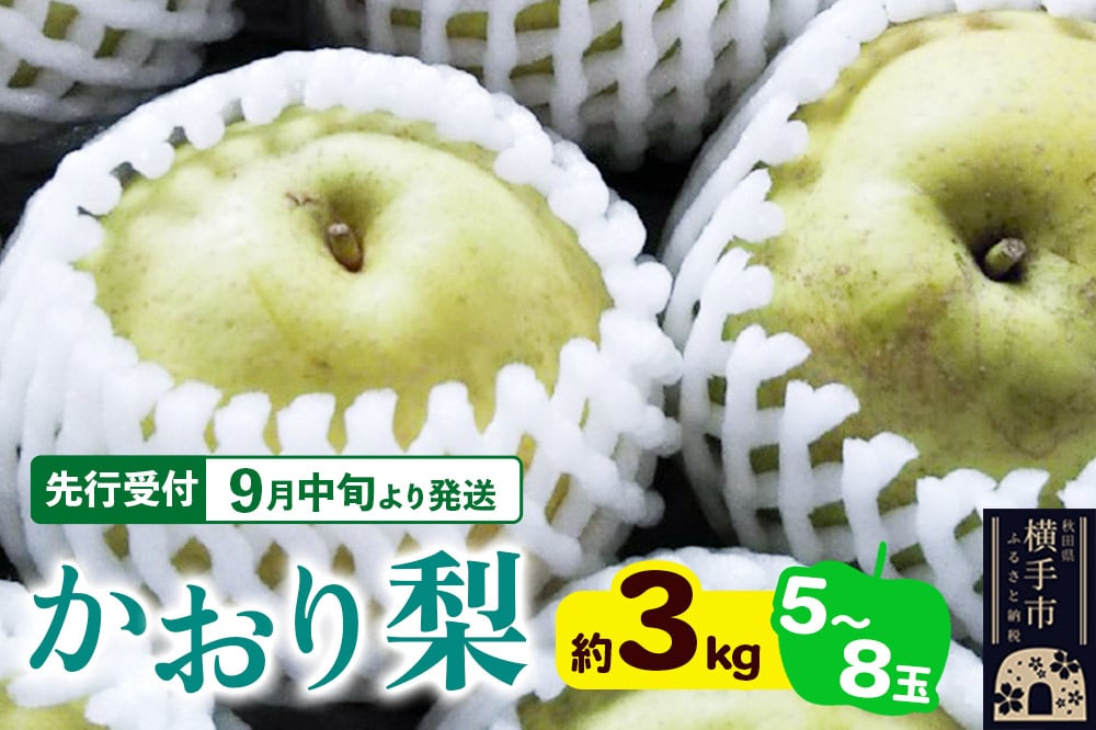 
            【先行受付】9月中旬より発送 かおり約3kg（5～8玉）かおり梨 大玉品種 青梨 和梨 秋田県横手市
          