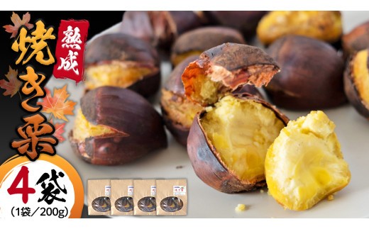 
            【 吉原農場 の 完熟栗 】 熟成 焼き栗 ( 200g × 4袋 ) 完熟 栗 くり クリ 栗ごはん 果物 フルーツ 贈答 ギフト 旬 秋の味覚 秋 冬 正月 おせち [FC001sa]	
          