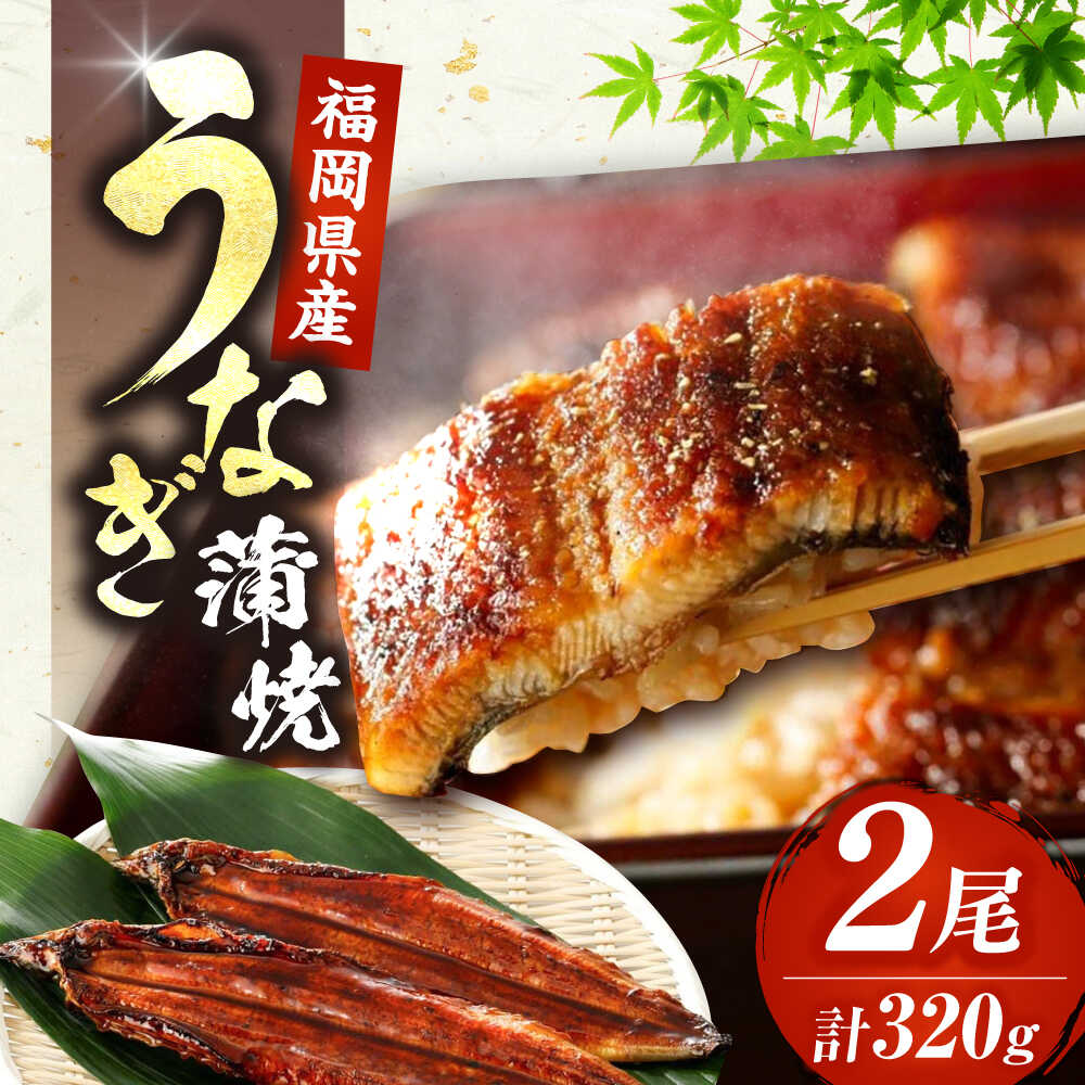 【ふるさと納税】国産 うなぎ 蒲焼 2尾 （ 大：計320g）《豊前市》【福岡養鰻】 国産 鰻 蒲焼き うなぎ ウナギ お祝い プレゼント 贈答 ギフト 国産うなぎ 国産鰻 人気 おすすめ 福岡産 土用の丑の日 贅沢 ご褒美 栄養 夏バテ [VAD002]