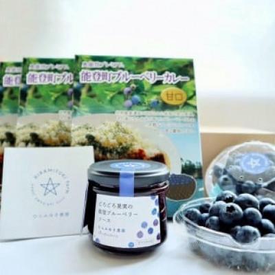 ふるさと納税 能登町 【復興支援】【能登町プレミアム】ブルーベリーセット(ブルーベリーカレー3個、ソース2個)