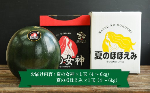 《2026年分受付中》スイカ2種(夏のほほえみ・夏の女神)食べ比べセット