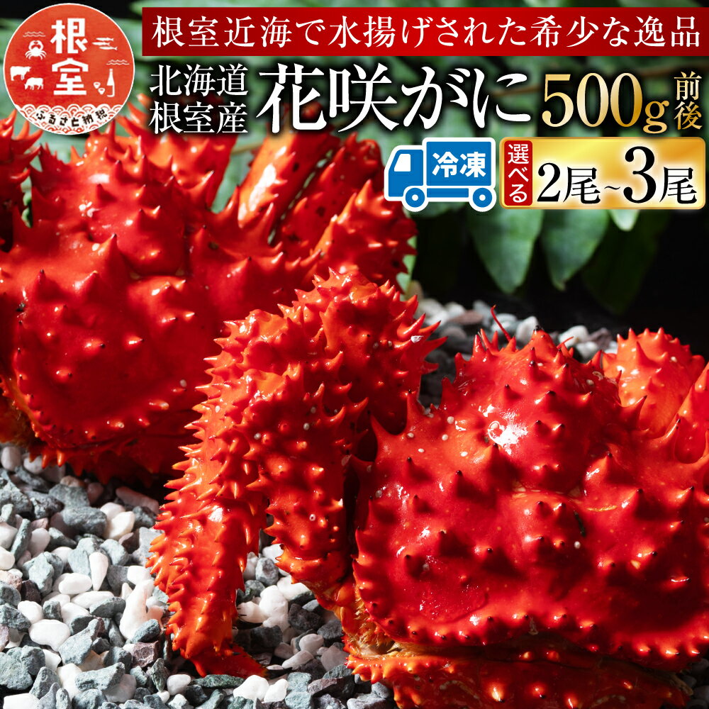 【ふるさと納税】 [北海道根室産] 花咲がに 500g 前後 選べる 2 尾 ~ 3 尾 カニ かに 蟹 花咲ガニ 花咲蟹 海鮮 海産物 花咲 花咲かに お取り寄せ グルメ ボイル 茹で蟹 茹でがに 茹でガニ 北海道 根室市 ふるさと納税