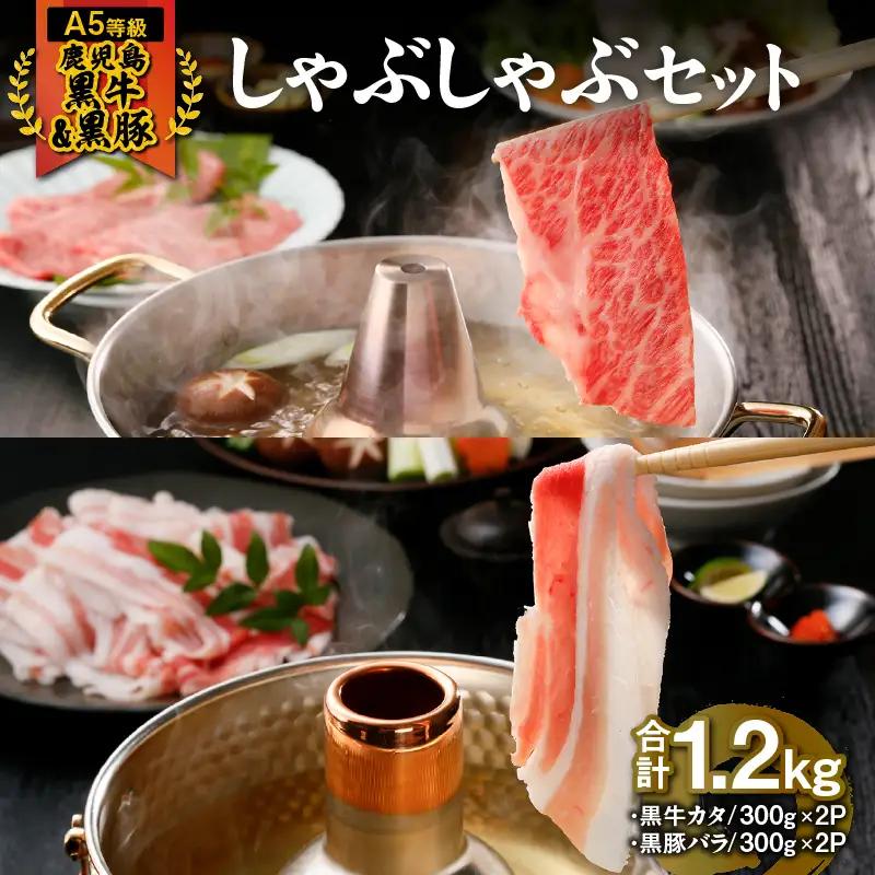 746-2 （A-2101）【5等級】鹿児島黒牛・鹿児島黒豚しゃぶしゃぶセット KN009-002 肉 豚肉 牛肉