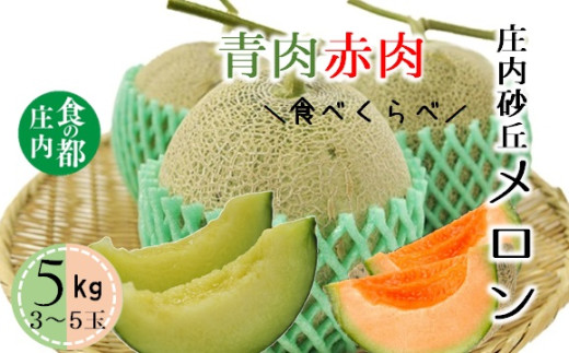 【令和8年産】食の都庄内　庄内の青肉＆赤肉メロン5kg（3～5玉）　※令和8年7月上旬～8月上旬頃発送