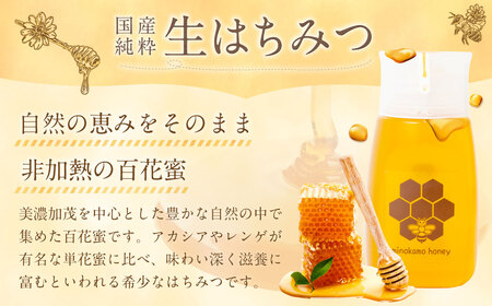【3ヶ月定期便】MINOKAMO HONEY はちみつ 1本（300g）×3回 ｜ 藤井養蜂 蜂蜜 非加熱 百花蜜 国産 甘味料 定期便 美濃加茂市