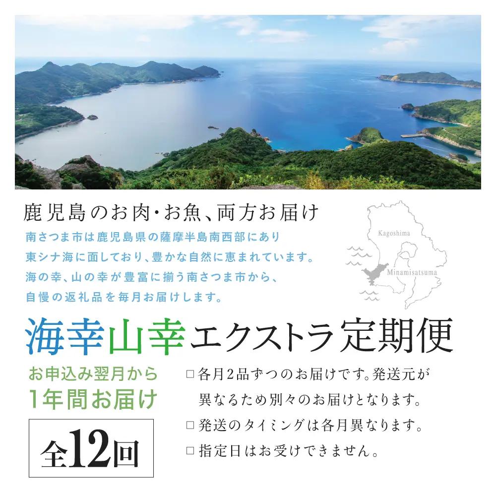 【定期便】海幸山幸 エクストラ厳選 定期便（全12回） お肉 お魚 豚肉 牛肉 黒豚 鹿児島黒牛 すき焼き サーロイン ステーキ しゃぶしゃぶ 角煮 鰻 蒲焼 刺身用 たかえび 薩摩甘えび 海老 マグ