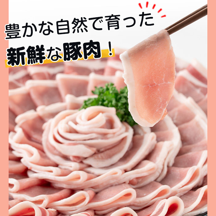 s603-B 【隔月・定期便3回】＜訳あり＞鹿児島県産豚ローススライス(計4.5kg・500g×3P×3回) 豚肉 ロース スライス 小分け 国産 しゃぶしゃぶ 生姜焼き 鹿児島 お肉 ポーク 真空包