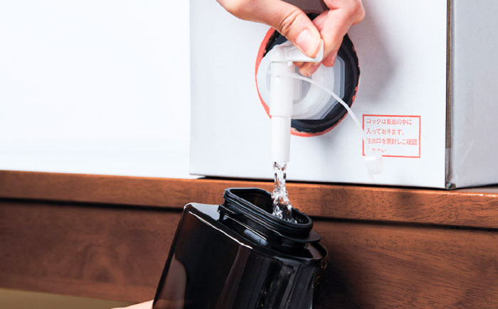 nanozilla専用 銀イオン除菌液 10L / 衛生 銀イオン ペット 除菌 除菌作業 抗菌 ミスト 保育園 感染対策 無臭 消臭 雑貨 日用品 赤ちゃん 子供 Ag+ 低コスト 【株式会社 ピカ