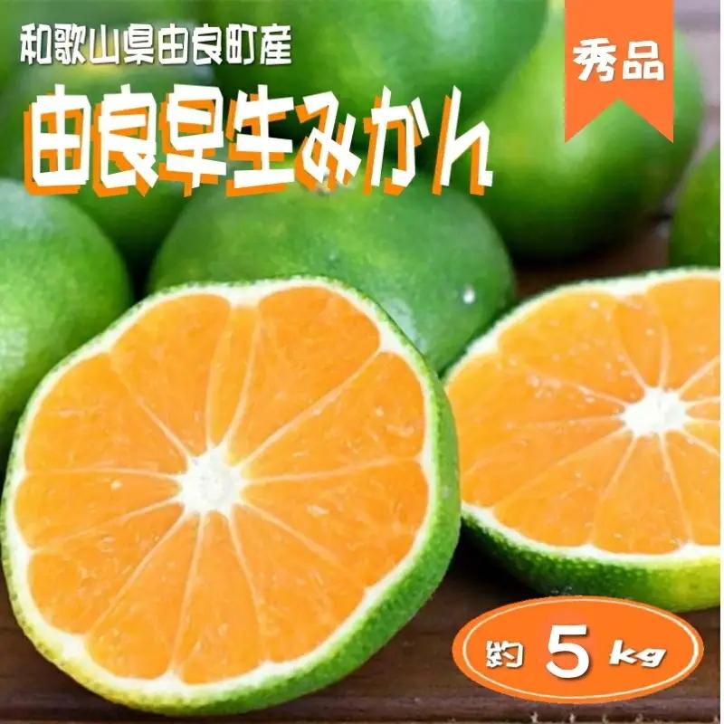 ≪秀品≫和歌山由良町産 由良早生みかん 約5kg サイズおまかせ【sml106C】