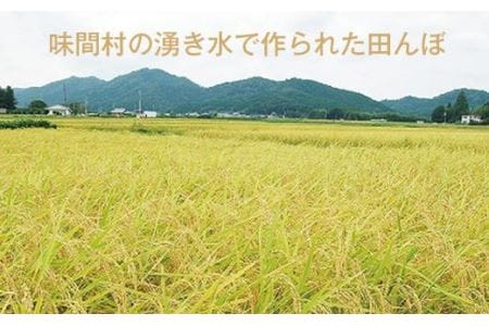 丹波篠山産　特Aランク　湧水米（わきみずまい）5ｋｇ×1袋 Y029
