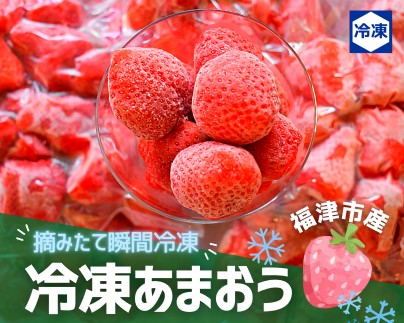 摘みたて瞬間★冷凍あまおう小分けパック1.5kg（250g×6P）[F0021]