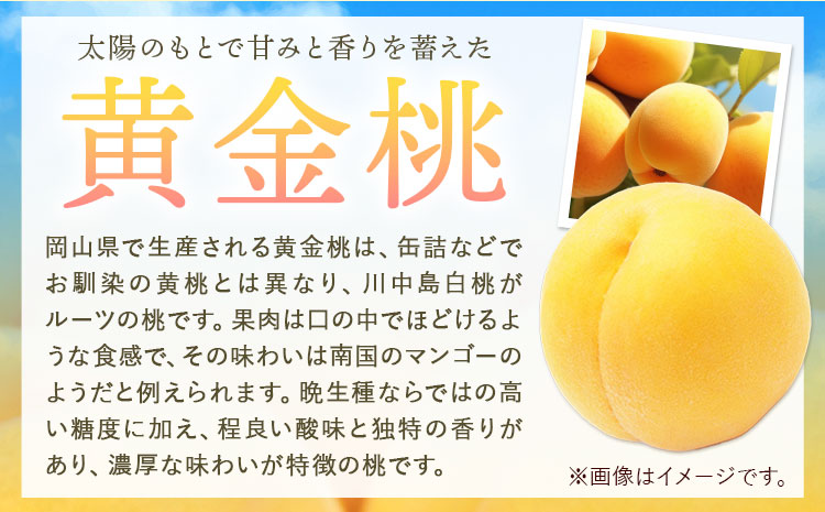 【令和7年度先行予約】桃 黄金桃 ご家庭用 2kg (5～8玉) フルーツファーム岡山《2025年8月中旬-9月下旬頃出荷》岡山県 浅口市 送料無料 フルーツ モモ 果物 青果 旬 国産 岡山県産【配